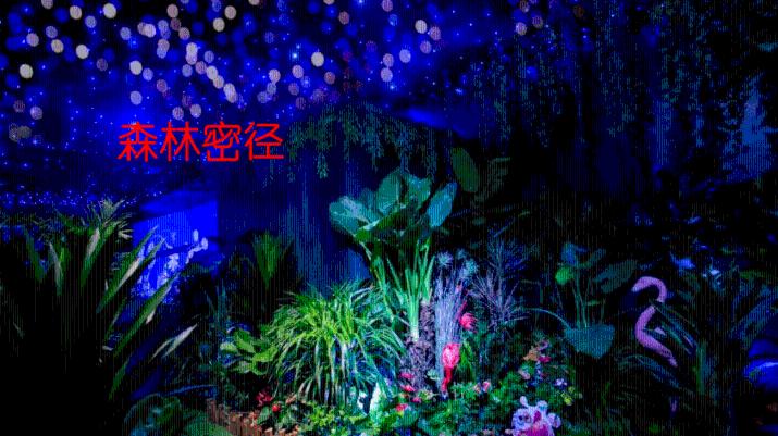 拯救精灵的土地10
